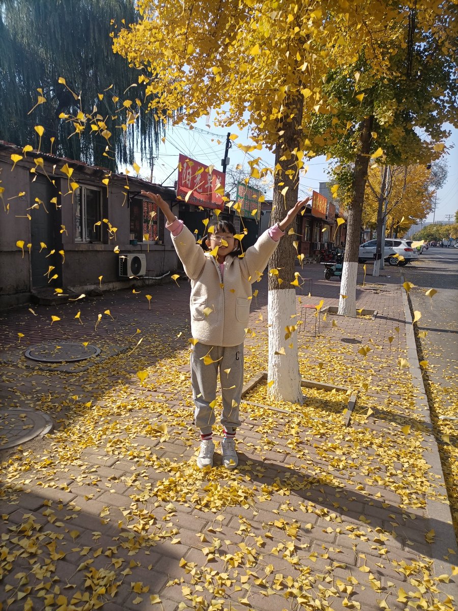 spaguy's tweet photo. Perfect autumn afternoon vibes  Crunchy leaves underfoot, warm sweater weather, and that golden light hitting the park – this is the best time of year! https://t.co/rdypa8XBoW