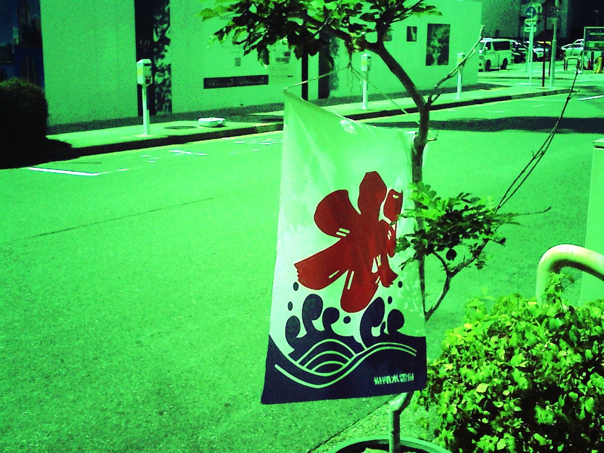 Bumokita's tweet photo. 本日のトイデジ
#トイデジ #トイカメラ #digitalking https://t.co/SjJTO47ELm