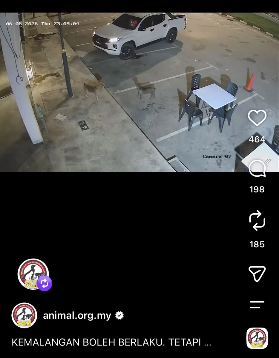 SyedJymalZahiid's tweet photo. Rocky the dog has yet to get justice and yet SAFM received another report of a dog murdered cruelly - a truck is seen running over a sleeping dog and then reversing again on it (see photo) and then driving away. What you see is the product of decades of hateful indoctrination https://t.co/veYsqV7bRr