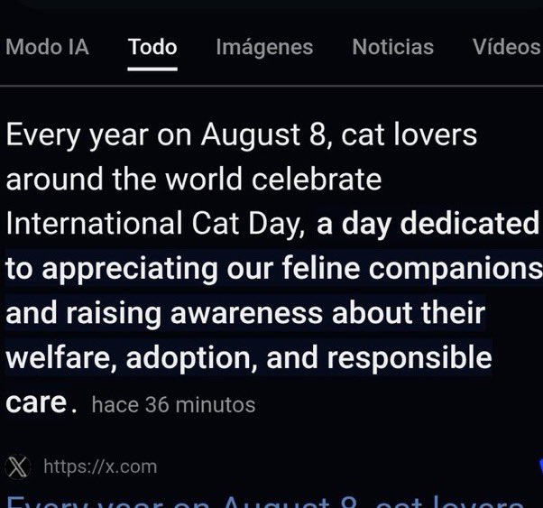 jm_dogs's tweet photo. yoongi postou uma foto de seu gato Tang, em comemoração ao Dia Internacional do Gato 🐈‍⬛💗

o 8 de agosto é um dia onde amantes de gatos de todo o mundo se dedicam a apreciar nossos companheiros felinos e a conscientizar sobre o bem-estar, a adoção e os cuidados responsáveis com eles.