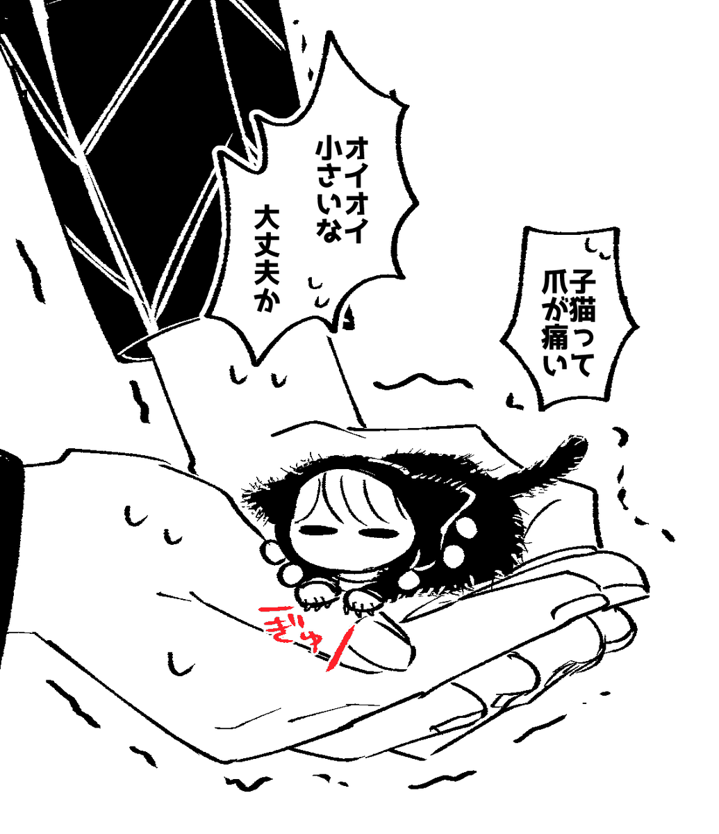 bear_ppppp's tweet photo. リゾプロ？らくがき

🐈 https://t.co/9w2pBJr6cF