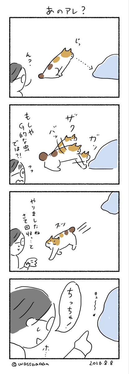 wassaaaaa's tweet photo. やりとげた感がすごい
今日は #世界猫の日 らしいのでいつもより撫でます https://t.co/8jnnNIhqNe