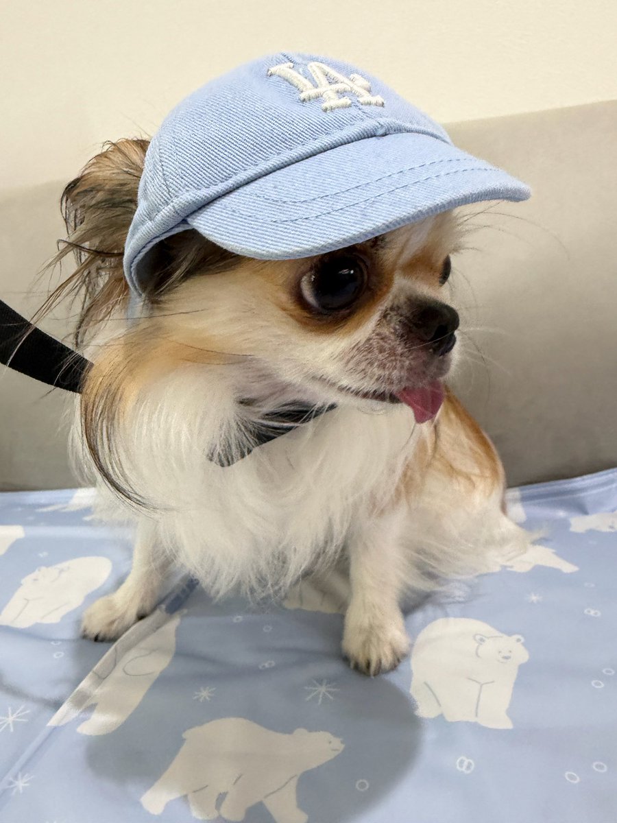 My_Bright_KH's tweet photo. 봉숙이 한 번만 안아보고 싶다🥹 https://t.co/qNCnRGB4GB