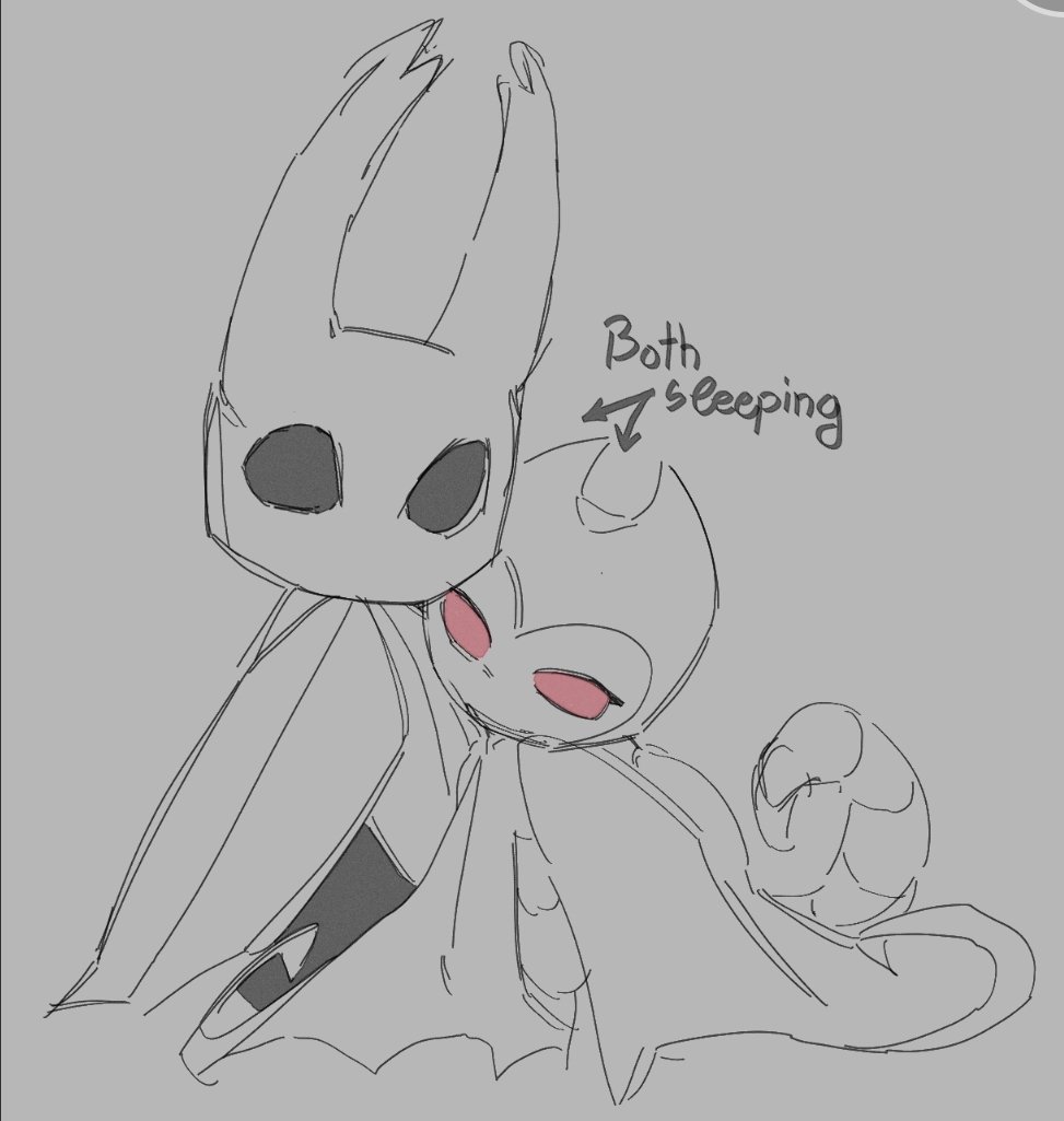 Haemo_Lacria's tweet photo. Fun fact,,, buge🪲 can have best friends! Wow❤️

#hollowknight #ghosthollowknight #grimmchild #theknight https://t.co/lpd9x5IbPe