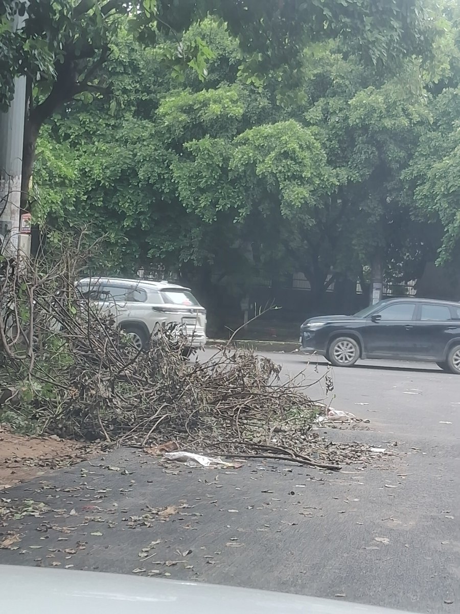 sharmasnitin6's tweet photo. @OfficialGNIDA @CMOfficeUP 
Sir, pls keep our Sector Pi 1 group housing near Ambey bharti, Informatics apartments area internal roads and external roads clean and maintained. Kindly supervise cleaning work in the area. https://t.co/ZIGyw1p7Lx