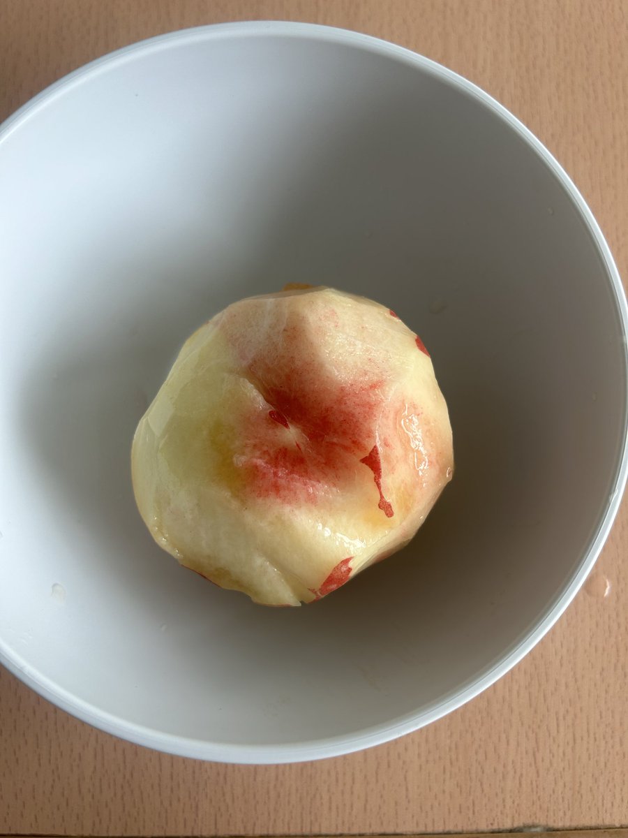 s2kii1's tweet photo. さつきは夏休みしております><
そういえば凍結中に丸かじりした桃が大幸福だった種あるの忘れててボキってなったけど🍑 https://t.co/XpqqkjACKa