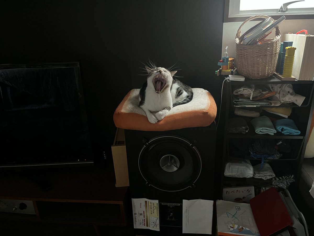 neccomputer's tweet photo. くわっ https://t.co/NnyutLqPvl