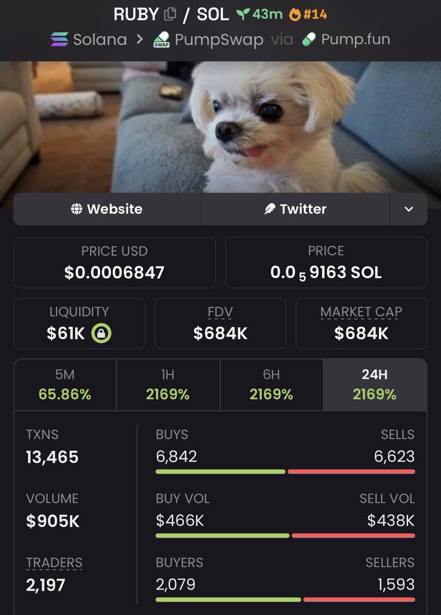 jogosHP's tweet photo. $RUBY 136.80x+ 🚀🔥

Called around $5K MC → touched $684K MC+

Strong breakout with explosive momentum and relentless buyer pressure driving it higher all the way up 👀
More early plays in the VIP group 🔒

#Solana #crypto #altseason #100xgem #SOLANA #sstvi
@cerrocoso https://t.co/PYFVf8jD1O