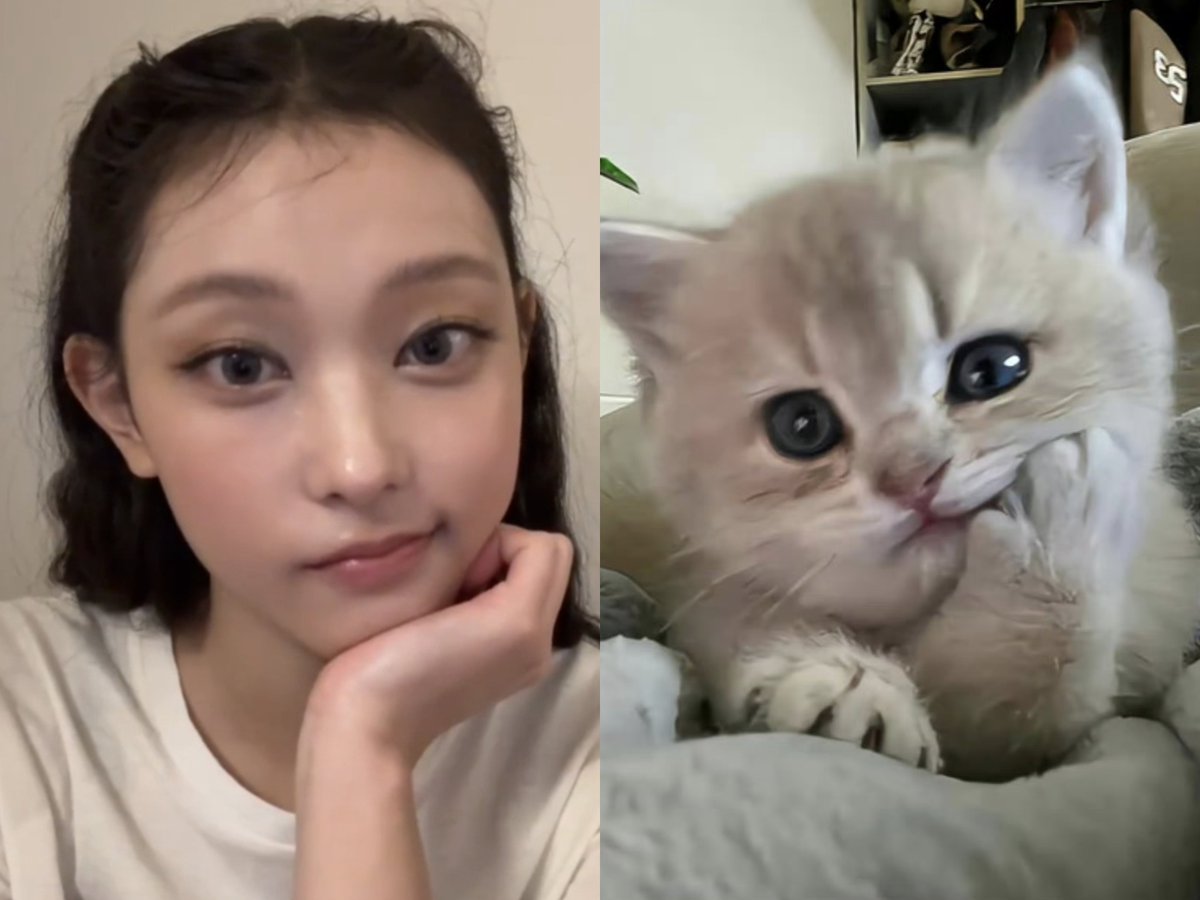 kang20220722's tweet photo. Today is National Cat Day! https://t.co/5HPZwuvIeG