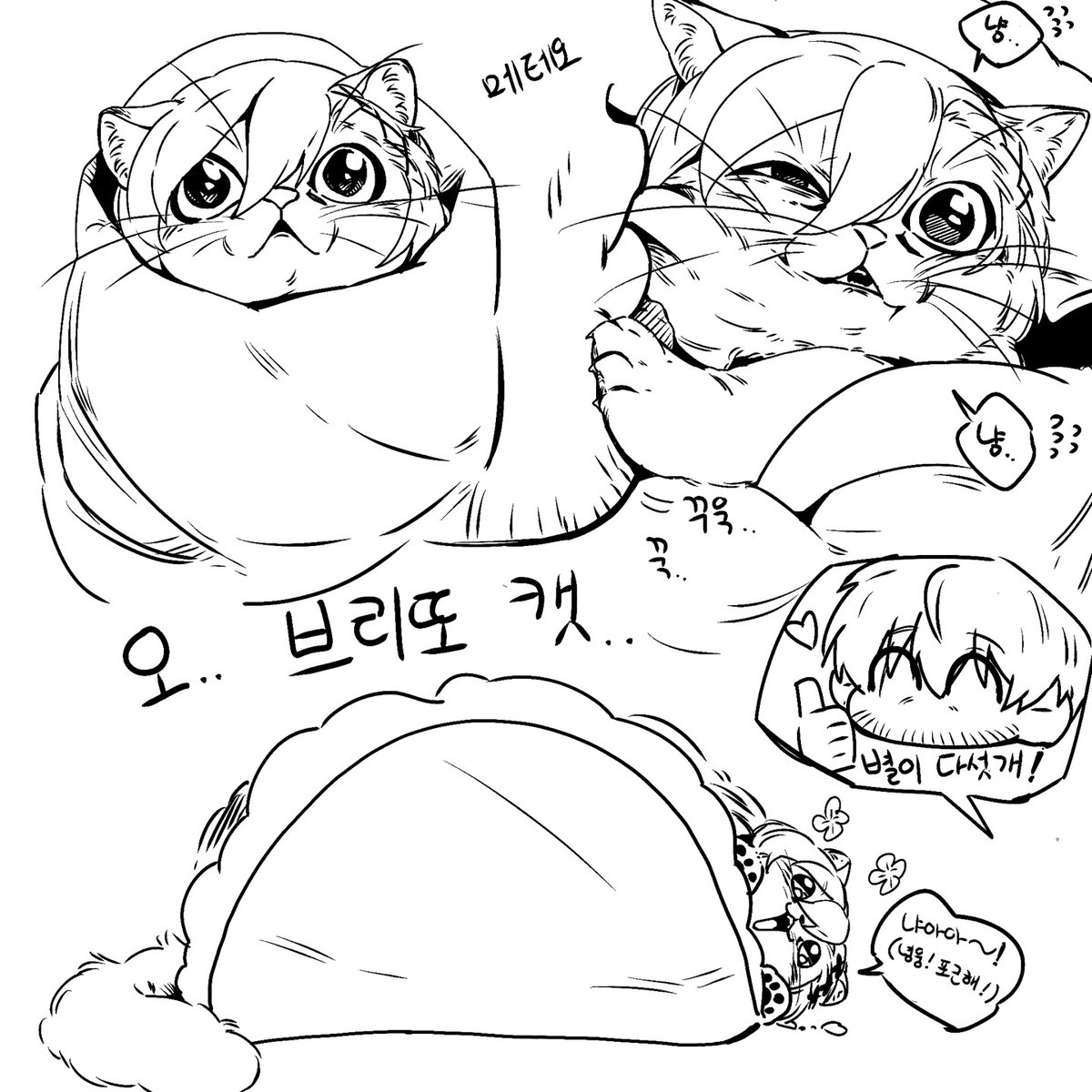 Mew_Shepherd's tweet photo. 8월 8일은 세계 고양이 날이므로 캣라하티아들 자랑합니다.🐈🐈 https://t.co/GmXhRVn6eO