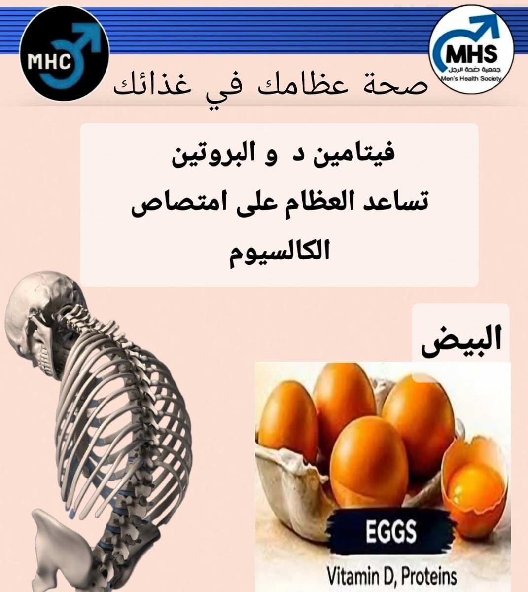 mhs_ep's tweet photo. #عيادة_صحة_الرجل 
#جمعية_صحة_الرجل 
#صحة_الرجل 
#صحة_الأسرة_والمجتمع 
#صحة_الشرقية 
#عظام 
#غذاء https://t.co/KZTrHa2qPM