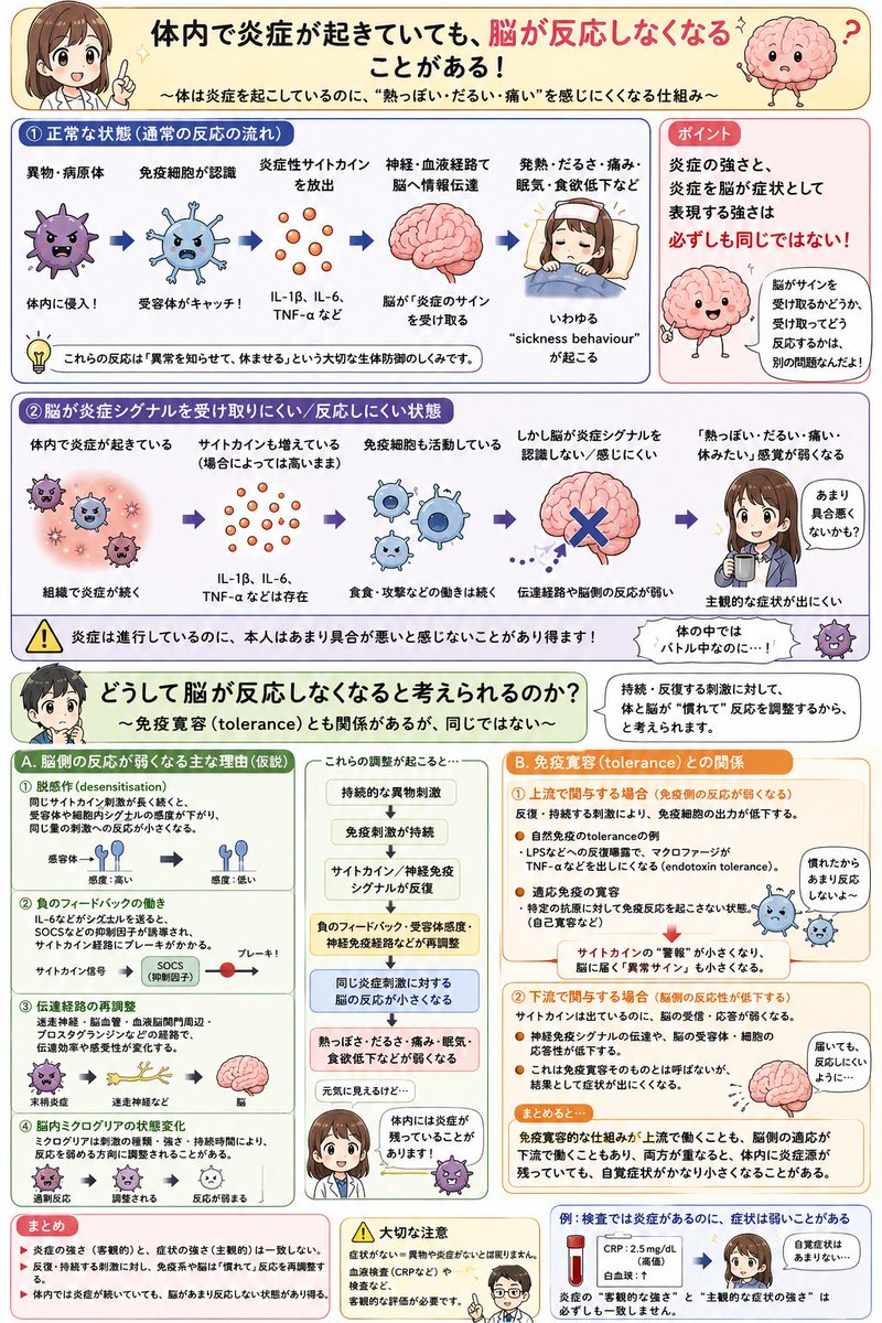 izumoji_english's tweet photo. シェディングを感知しない人の謎。またはしなくなった人の謎。免疫寛容（上流）とは別に、脳がサイトカインに反応しなくなっている（下流）と考えられる。アラームは鳴っているのに聞こえない状態。5年間もフォールアウト（有害物質の飛散）が続けばそういうことにもなるだろう。 https://t.co/cmsW5HGOe9