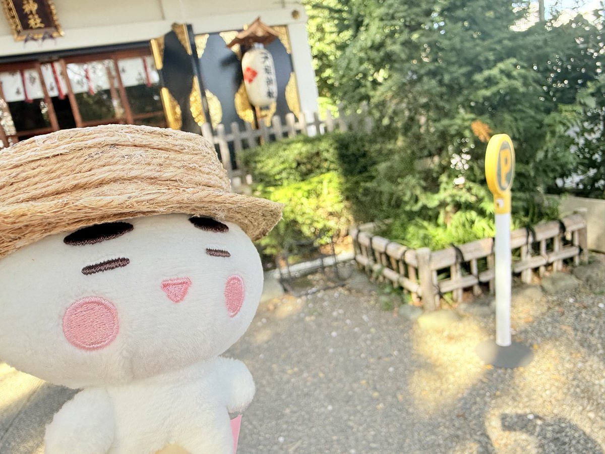 iga_riri's tweet photo. 毎月足を運ぶ神社に行こうとしたら激混みという📮だったのでコチラへ。
なんで激混みなんだろうと思ったら...八・八・八なんだね今日。 https://t.co/bpdmw6lt7F