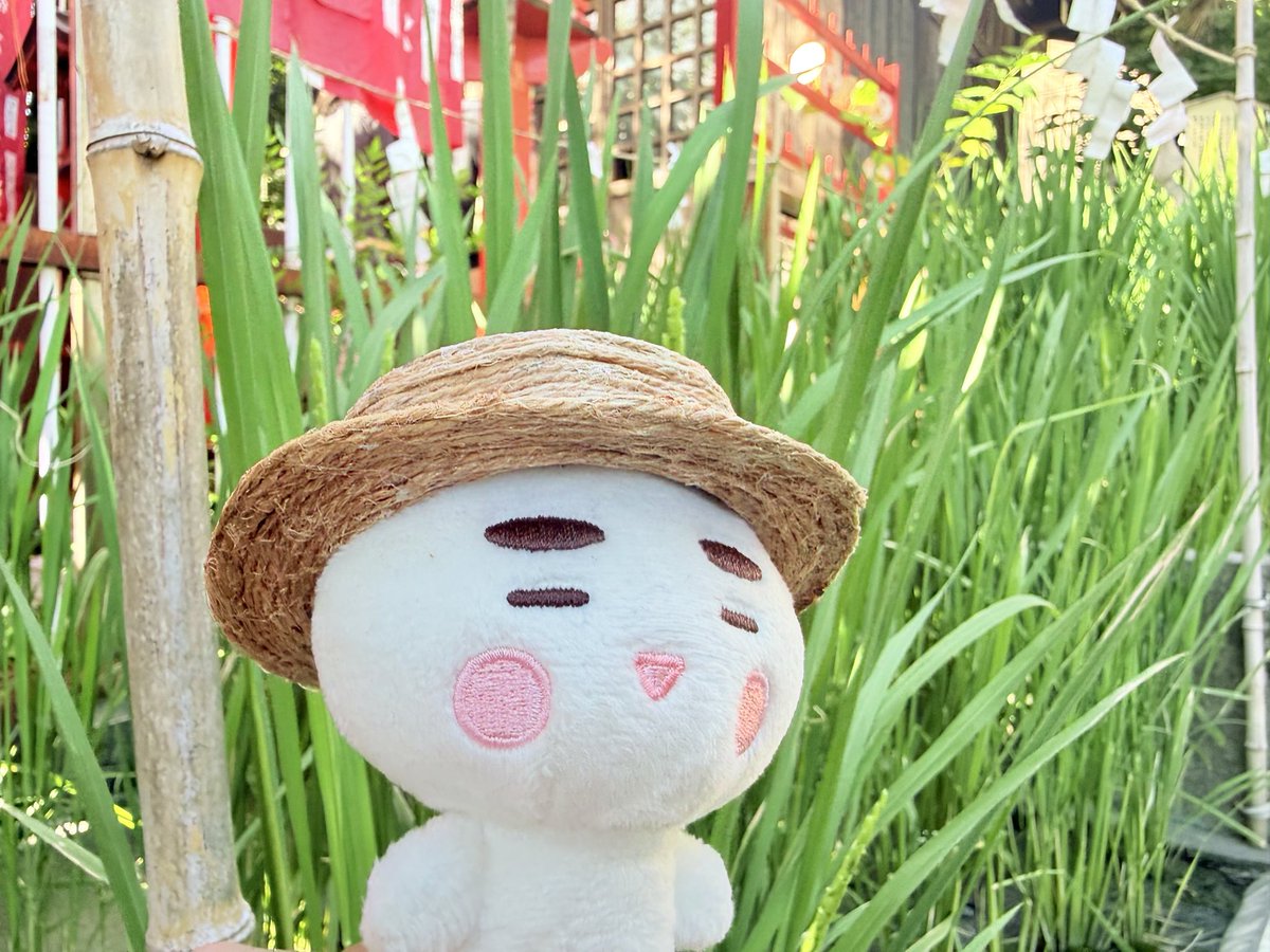 iga_riri's tweet photo. 毎月足を運ぶ神社に行こうとしたら激混みという📮だったのでコチラへ。
なんで激混みなんだろうと思ったら...八・八・八なんだね今日。 https://t.co/bpdmw6lt7F
