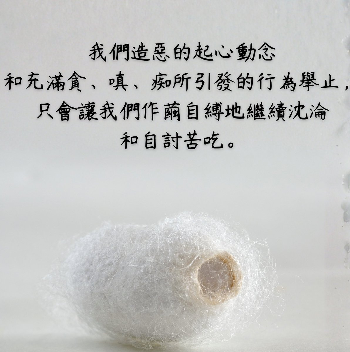 prettycheunghk's tweet photo. 如果我們不用佛法的標準來約束自己，
那我們造惡的起心動念
和充滿貪、嗔、痴所引發的行為���止，
結果只會讓我們作繭自縛地繼續沈淪
和自討苦吃。

佛法是幫我們離苦的方法，
但是不是說諸佛菩薩就可以代替我們
離苦得樂。

是否斷惡、是否行善，
還是取決於我們自己。

祖古顏班 https://t.co/jKtEPQoqwo