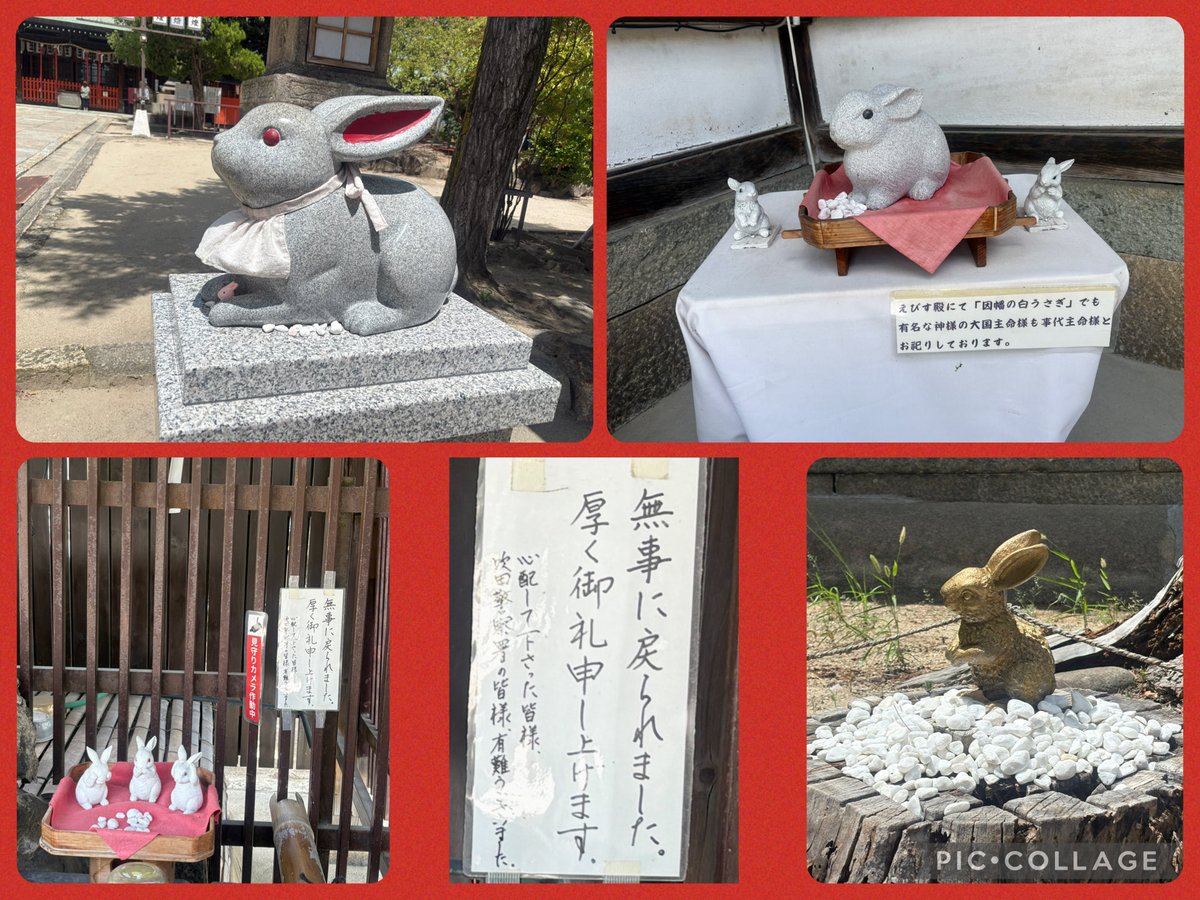 yod813's tweet photo. 記念すべき888は、#高浜神社     に決定！15柱の神様がまつられています👏 欲張りな私にピッタリ！境内の10体のうさぎの陶像のうち5体が持ち去られる事件がありましたが、無事に戻ってきました🐇護摩木は『身体健全』にしました🙏🍀
#御朱印　
#令和八年八月八日 https://t.co/d7swIfArsa