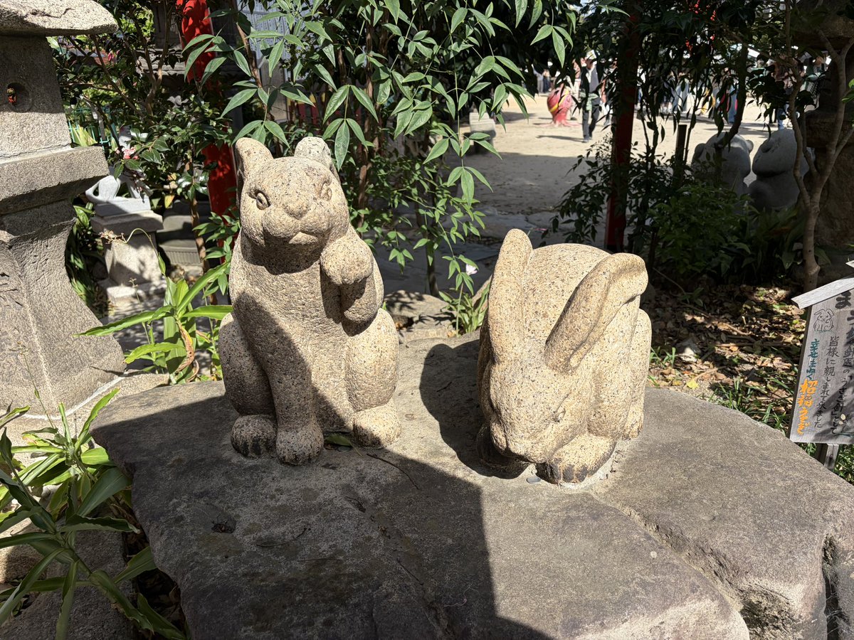 happapa42's tweet photo. 尼崎市の尼崎えびす神社⛩️
令和八年八月八日の御朱印です
大行列で受け取りまでに4時間かかったのは初めてでした😉
でも16時すぎても社務所の方がずっと対応してくださっていたので有難いやらお疲れ様ですの気持ちです🙏
#御朱印
#尼崎えびす神社 https://t.co/424SoKAqeV
