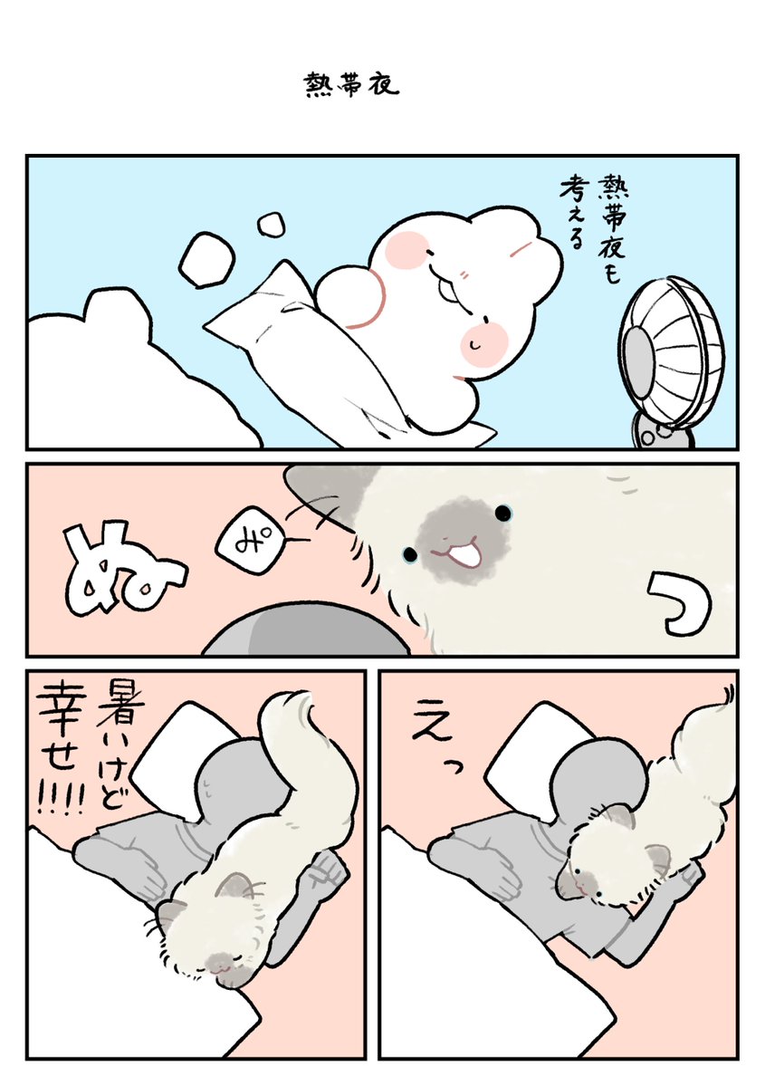 nasuka_gee's tweet photo. 猫が飼えないから猫を飼っている妄想をする🐈‍⬛

#世界猫の日
#深夜のネコチャン
#漫画が読めるハッシュタグ https://t.co/lOBGn9Vwvz