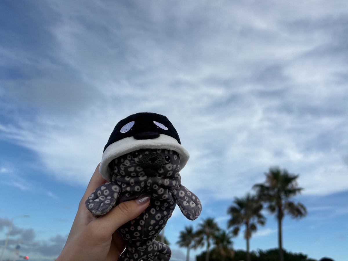 orca_bookmark's tweet photo. これを……こう！（超かわいい） https://t.co/hCVl7kIviF
