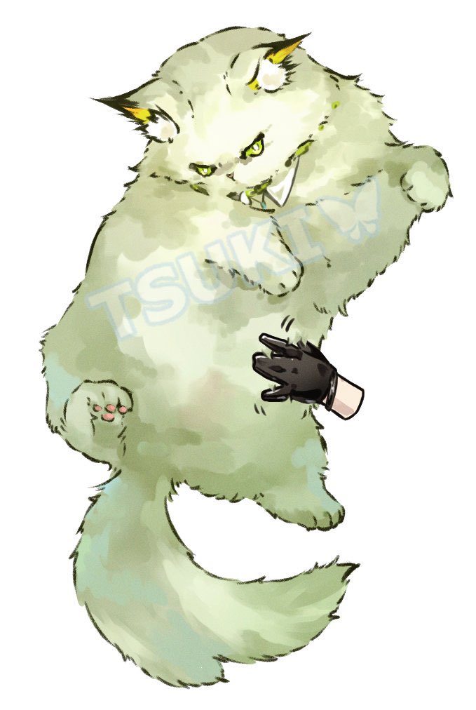 tsukihana_l's tweet photo. #世界猫の日
🐈💚🍞大好きなかわいいかわいいケルシー先生🍞💚🐈 https://t.co/nwY8Yz8kY0