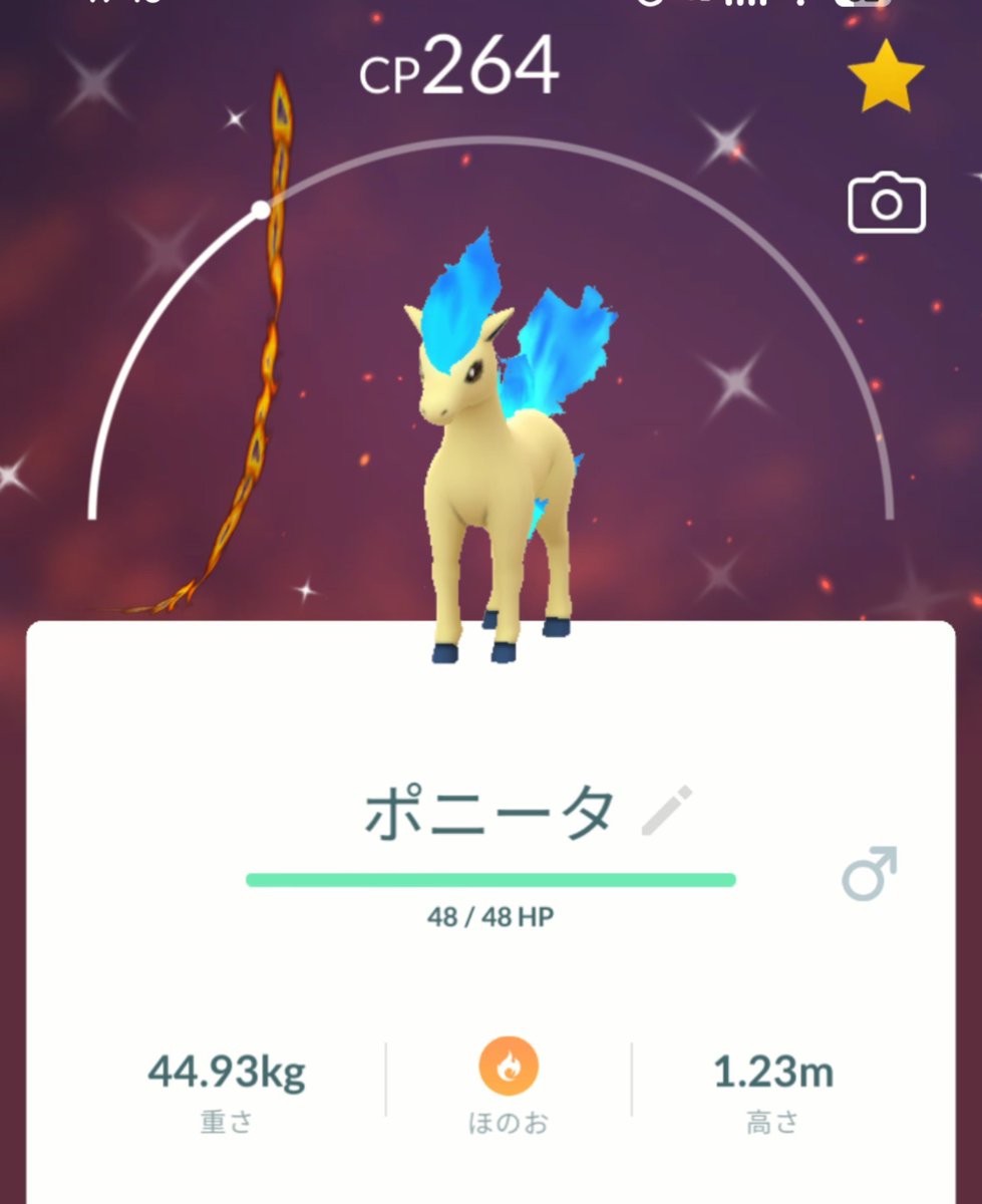 888kamaru888's tweet photo. 今日は色違いいっぱい✨
ユキカブリ、ムチュール×2、ポニータ×2
青いポニータちゃん絶対欲しかったから嬉しい〜🩵 https://t.co/cCJ9qWVu9z