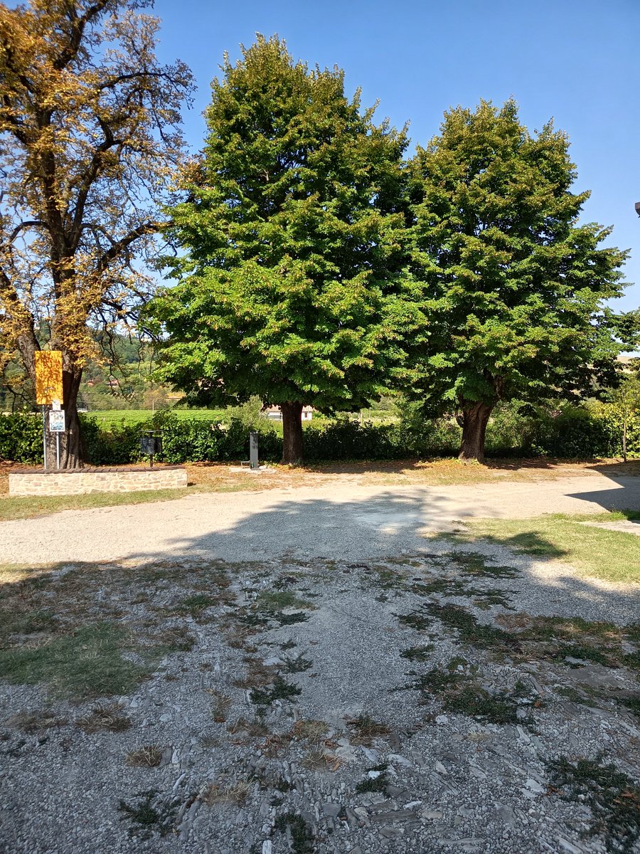 Gianmarcomacpez's tweet photo. Sabato mattina presto esco per la mia corsa di 10 km intensi,diversi allunghi fatti #iocorroqui tra salite e discese nella natura,le gambe vanno bene, girano nonostante la fatica la corsa mi fa stare bene, #runlovers https://t.co/PII128zRA1