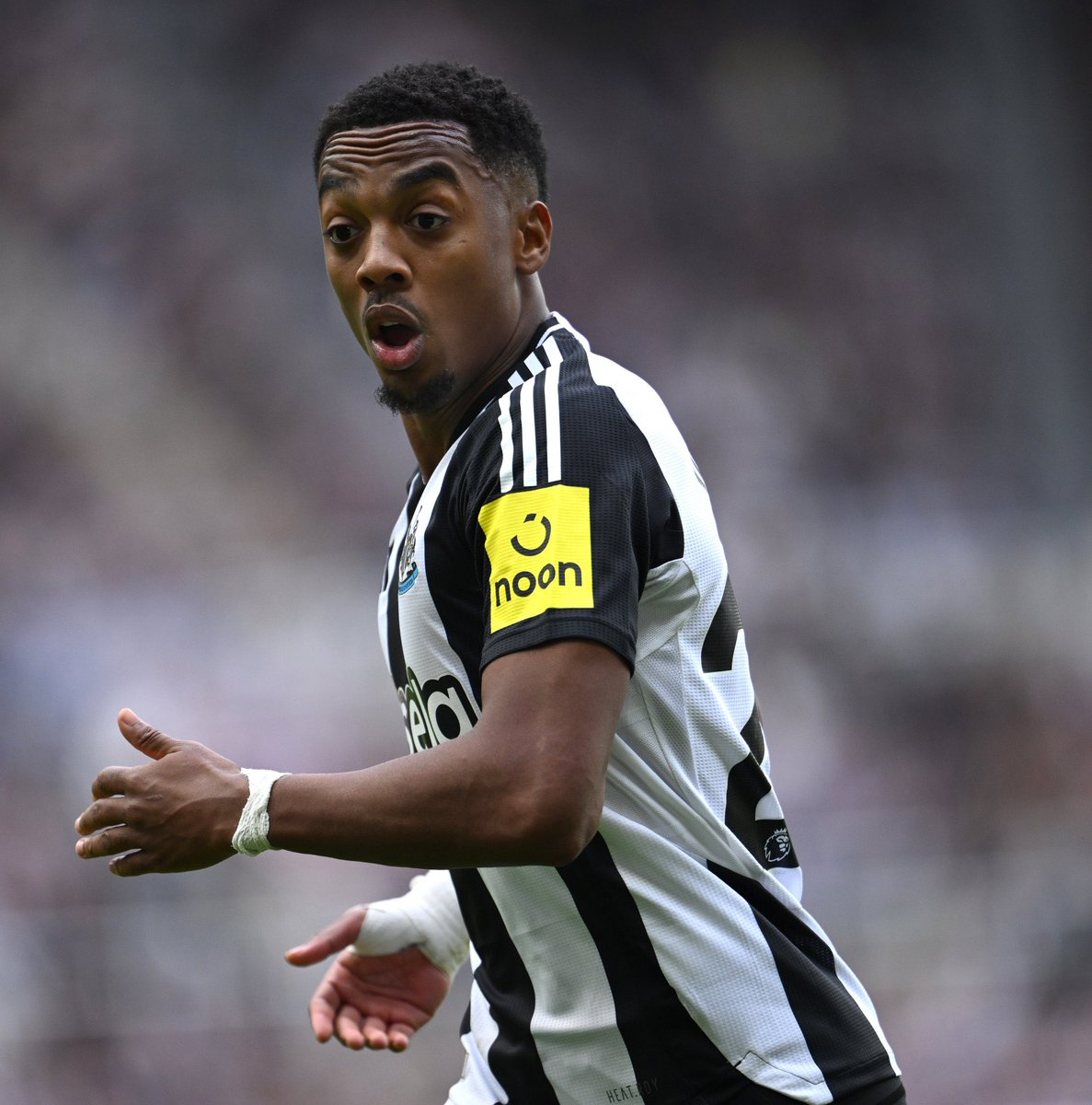 foootballo's tweet photo. 🚨 Taraftara soralım..

Büyük Beşiktaş taraftarı Joe Willock hakkında ne düşünüyor ? https://t.co/mQG1HSbAl9