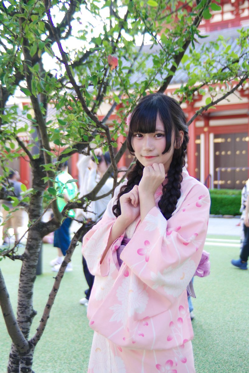 ranomyu_sakura's tweet photo. 去年の浴衣👘 ⟡.· https://t.co/ZqeBoUBLB3