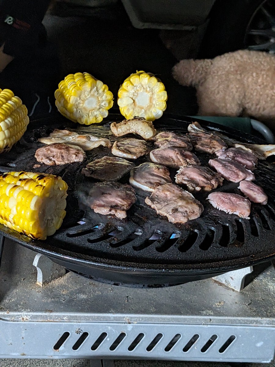 kafurasian's tweet photo. BBQ https://t.co/R06eT4vzXt