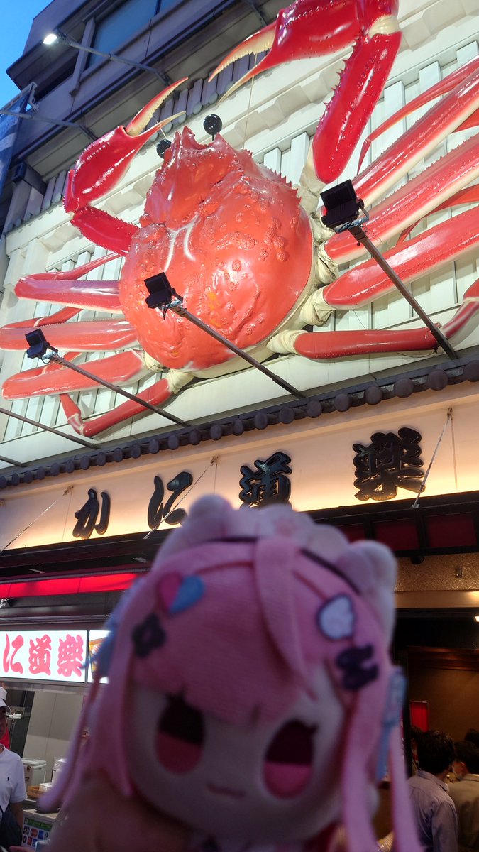 nyanko113nyanko's tweet photo. 大阪(っ´ω`c)0完走だけどまた明日がんばる!観光もちょっとだけ!でかい蟹!
#結城さくな
#さくなぬいtrip
#397cp https://t.co/KsEUvoHr0L