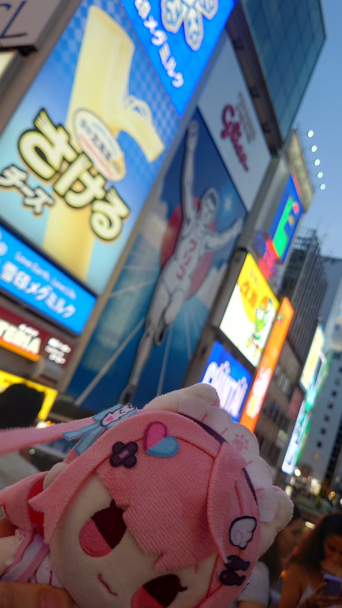 nyanko113nyanko's tweet photo. 大阪(っ´ω`c)0完走だけどまた明日がんばる!観光もちょっとだけ!でかい蟹!
#結城さくな
#さくなぬいtrip
#397cp https://t.co/KsEUvoHr0L