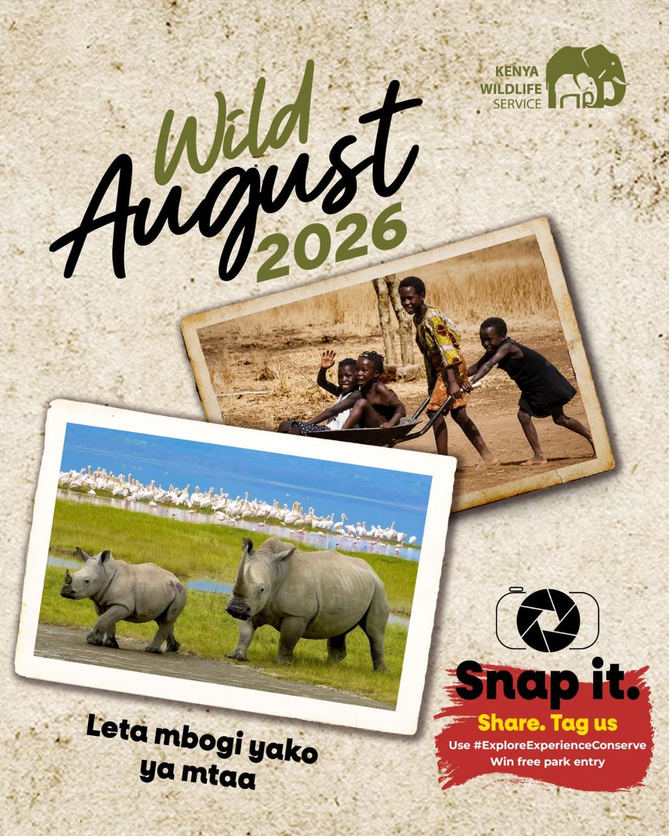 mawondo_'s tweet photo. "Pack the car, we're going to the park!" — the 6 words that guaranteed an elite childhood.
​We’re bringing that exact energy back all month long. It’s time to unlock your wild side again! 🔥🇰🇪🐘
​Book your visit now: +254 726 610 509
​#ExploreExperienceConserve, #WildAugust2026 https://t.co/vRoHkKf8iR