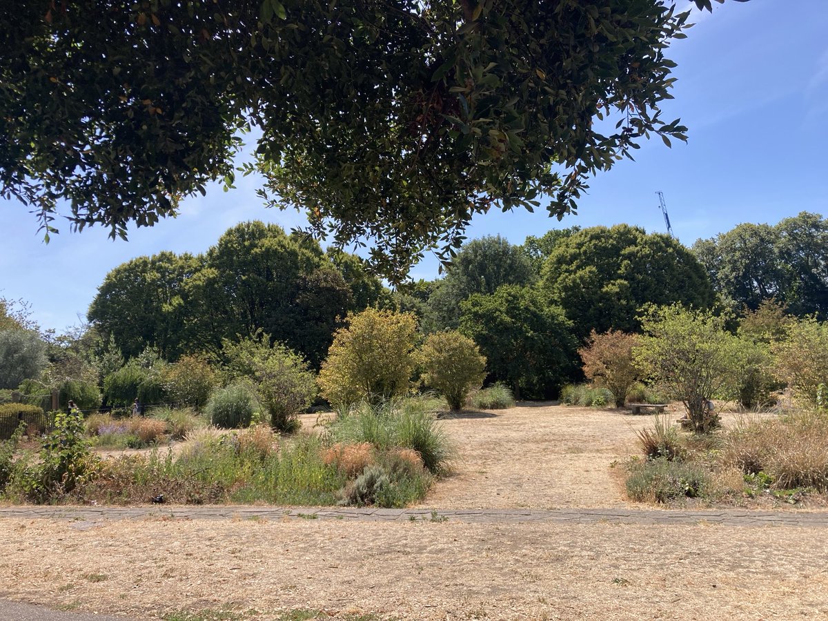 DaveDaveadcock's tweet photo. You’d never guess where! #Acton I think it’s over 60 years since I sat in the park here. https://t.co/9FgoYdV0RS