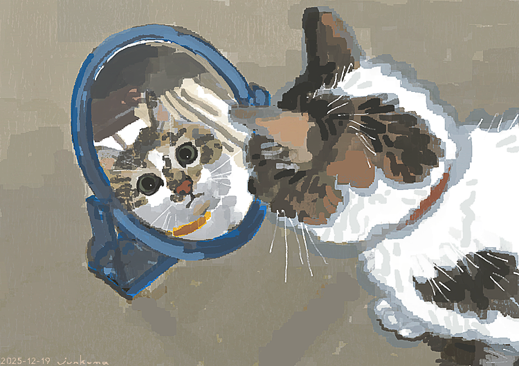 J_KMOR's tweet photo. 猫 https://t.co/qhzYmnpRDz