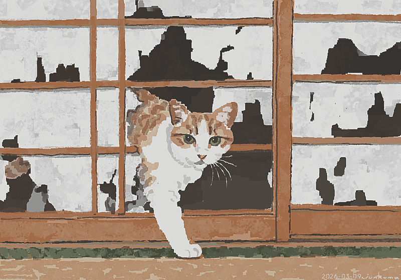 J_KMOR's tweet photo. 猫 https://t.co/qhzYmnpRDz
