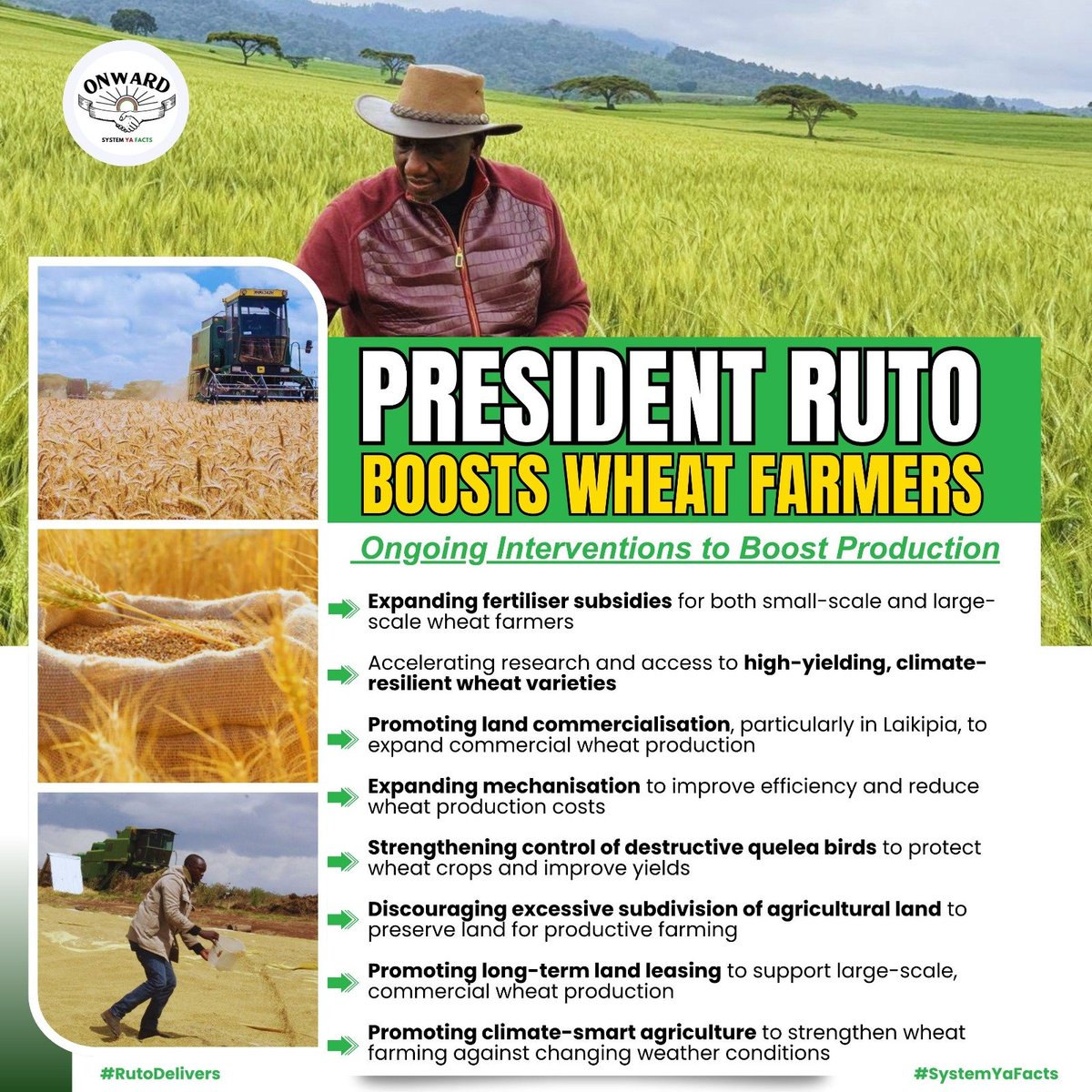 SeyMonicah's tweet photo. Wheat farming is being treated as a serious commercial opportunity. Expanding production, preserving agricultural land and promoting long-term land leasing can help build a stronger domestic wheat industry. White Gold, Pesa Mfukoni. #WheatFarmingReforms https://t.co/3INKnCtiXB