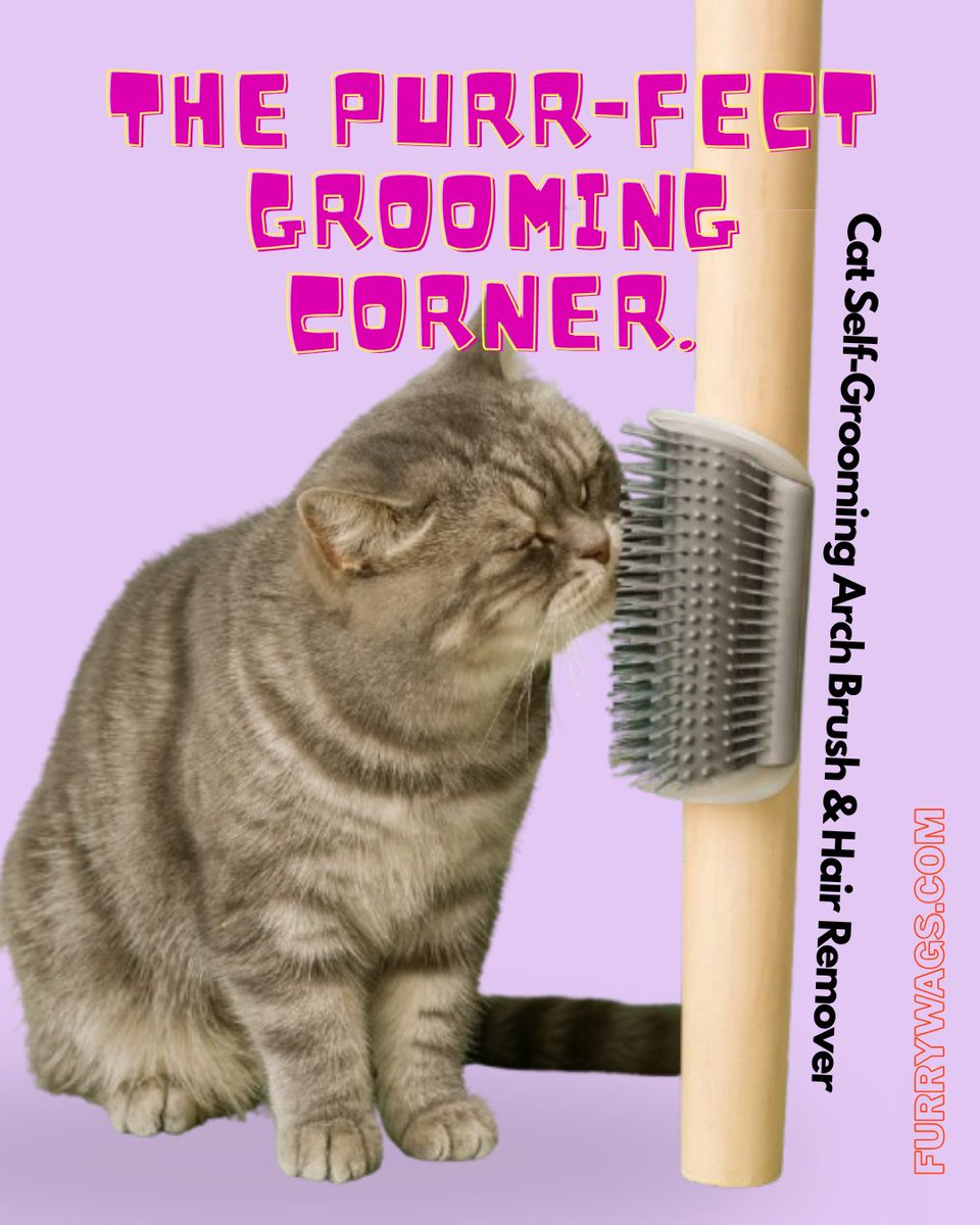 FurryWags's tweet photo. Welcome to the Purr-fect Grooming Corner! 🐾✨ Keep your kitty purring with joy with our Cat Self-Grooming Arch Brush &amp; Hair Remover. Say goodbye to loose fur and hello to a happy, well-groomed feline.

Shop Now https://t.co/JxCUN5EEq8

Visit https://t.co/Gs9IDumb6J https://t.co/sHDsSFMpmu