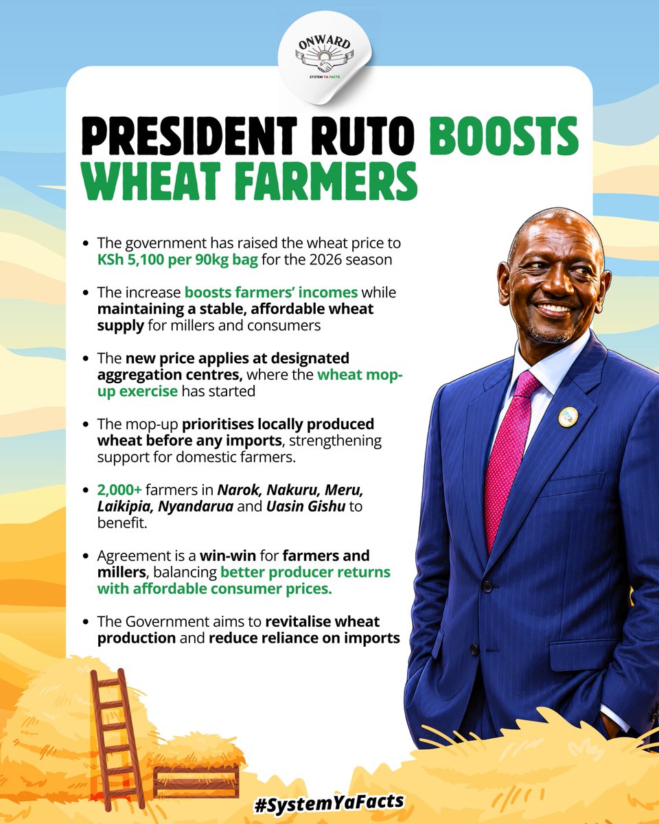 SeyMonicah's tweet photo. More than 2,000 farmers across Narok, Nakuru, Meru, Laikipia, Nyandarua and Uasin Gishu are set to benefit from the wheat mop-up. Supporting farmers at the farm gate means Pesa Mfukoni. White Gold. #WheatFarmingReforms https://t.co/lChA53fx12