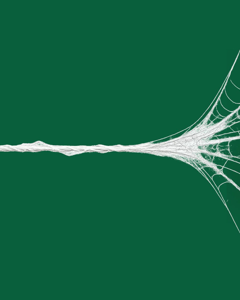 GreenWareTech's tweet photo. Don’t break the web… every web leads to something. 🕸️
Just keep following it. 👀
You might end up somewhere that changes everything.
#GreenWareTech #TechSkills #LearnTech #TechCareer #TechTraining #TechEducation https://t.co/vdhpdNesYZ
