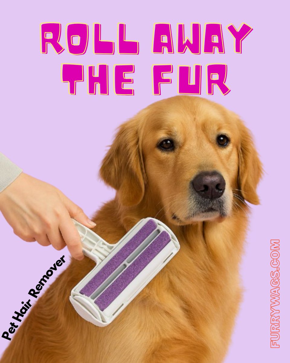 FurryWags's tweet photo. Say goodbye to pet hair mess! 🐾✨ Check out our Pet Hair Remover and keep your space fur-free. 

Shop Now https://t.co/7jqflIxUsk

Visit https://t.co/Gs9IDumIWh for more info! #PetCare #FurryWags https://t.co/WIJZc3oxcF
