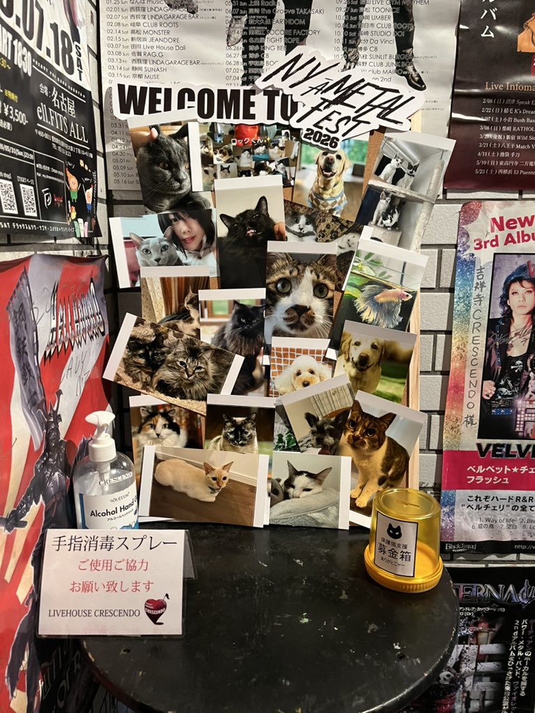 zapeora's tweet photo. 吉祥寺クレッシェンドで #灰猫瞳 さんが出演した #NYAMETALFEST2026 を観てきました!
メタルの激しさと共に、猫をはじめとした動物たちへの愛が溢れるライヴでした😻
#Omelas #ARESZ #VRAIN #PawsinPeace #NYAMETALDESIGN https://t.co/tTurfHakS7