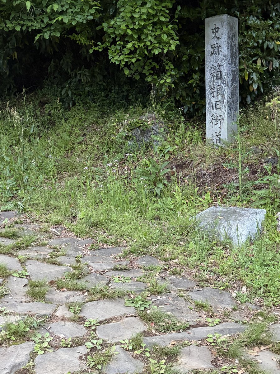 fudosandannaaaa's tweet photo. 旧東海道 踏歩記録 2026.5（箱根から三島まで）

箱根の石畳、最初は石じゃなくて竹だったらしい。沿道の説明書きで知った。

最初から石畳だったと思われがちだけど、実は違う。箱根に群生してる箱根竹という細竹を敷き詰めていた。1624年に通った朝鮮通信使が、まるで乾いた道を歩くようだったと記録を残しているくらいで、当時としては悪くない舗装だったようだ。

ただ竹は腐る。毎年敷き替える

竹も人手も金もかかった。延宝8年、1680年に幕府が1400両あまりを投じて、峠から三島までの約10キロを石に変えている。三島側の発掘調査によると、石は地面に直接置かれていて基礎すらないという。

途中で見つけた史跡碑で、石畳の東側と西側の非対称に気づいた。箱根峠から三島に下る西坂は、いつ誰がいくらかけて敷いたか記録が残っている。一方、小田原から上る東坂は、今も3.3キロ分の石畳が当時のまま現存しているのに、史料がなく詳細は一切わからないという。同じ石、同じ時代、同じ道なのに。結局、物より記録の方が強い。

峠の茶屋で甘酒を飲んだ。江戸時代から同じ場所にあるらしく、茅葺きの屋根が残っていた。標高800メートル超え、上り四里を歩いた先にちょうどこの店があった。偶然の位置じゃない気がする。空腹を覚えるタイミングや、脚が限界を迎えて休みたくなる距離は、だいたい決まっているのかもしれない。