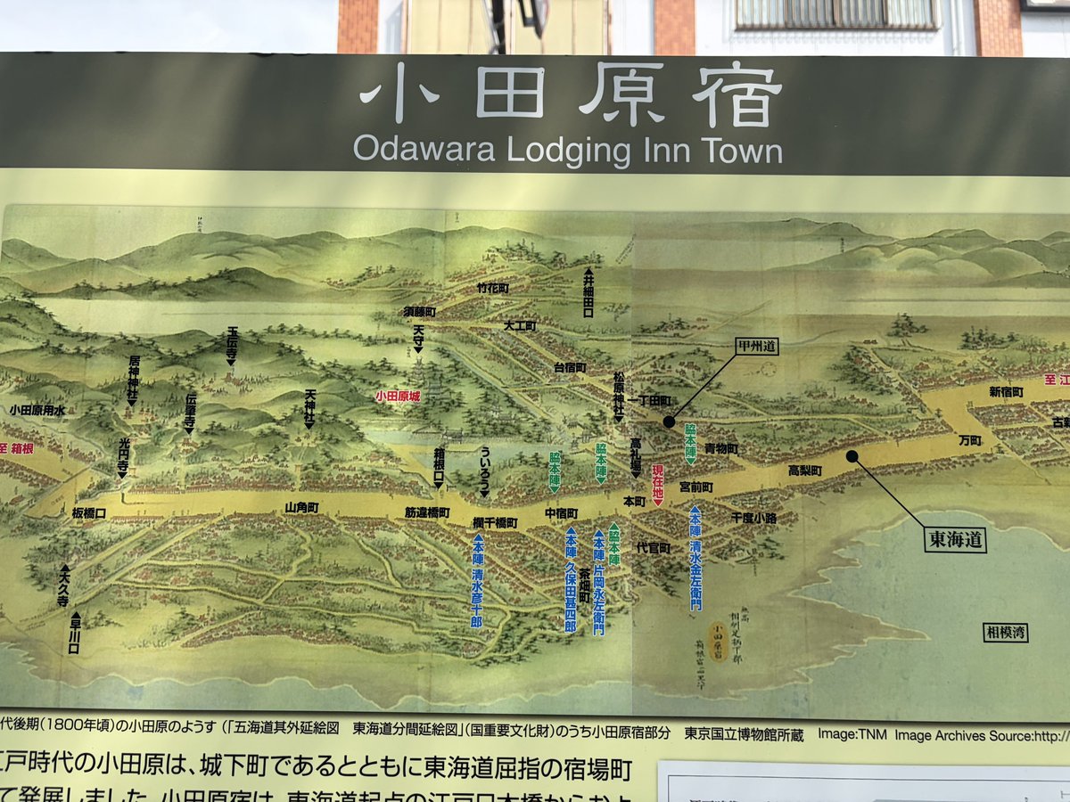 fudosandannaaaa's tweet photo. 旧東海道 踏歩記録 2026.5（箱根から三島まで）

箱根の石畳、最初は石じゃなくて竹だったらしい。沿道の説明書きで知った。

最初から石畳だったと思われがちだけど、実は違う。箱根に群生してる箱根竹という細竹を敷き詰めていた。1624年に通った朝鮮通信使が、まるで乾いた道を歩くようだったと記録を残しているくらいで、当時としては悪くない舗装だったようだ。

ただ竹は腐る。毎年敷き替える

竹も人手も金もかかった。延宝8年、1680年に幕府が1400両あまりを投じて、峠から三島までの約10キロを石に変えている。三島側の発掘調査によると、石は地面に直接置かれていて基礎すらないという。

途中で見つけた史跡碑で、石畳の東側と西側の非対称に気づいた。箱根峠から三島に下る西坂は、いつ誰がいくらかけて敷いたか記録が残っている。一方、小田原から上る東坂は、今も3.3キロ分の石畳が当時のまま現存しているのに、史料がなく詳細は一切わからないという。同じ石、同じ時代、同じ道なのに。結局、物より記録の方が強い。

峠の茶屋で甘酒を飲んだ。江戸時代から同じ場所にあるらしく、茅葺きの屋根が残っていた。標高800メートル超え、上り四里を歩いた先にちょうどこの店があった。偶然の位置じゃない気がする。空腹を覚えるタイミングや、脚が限界を迎えて休みたくなる距離は、だいたい決まっているのかもしれない。