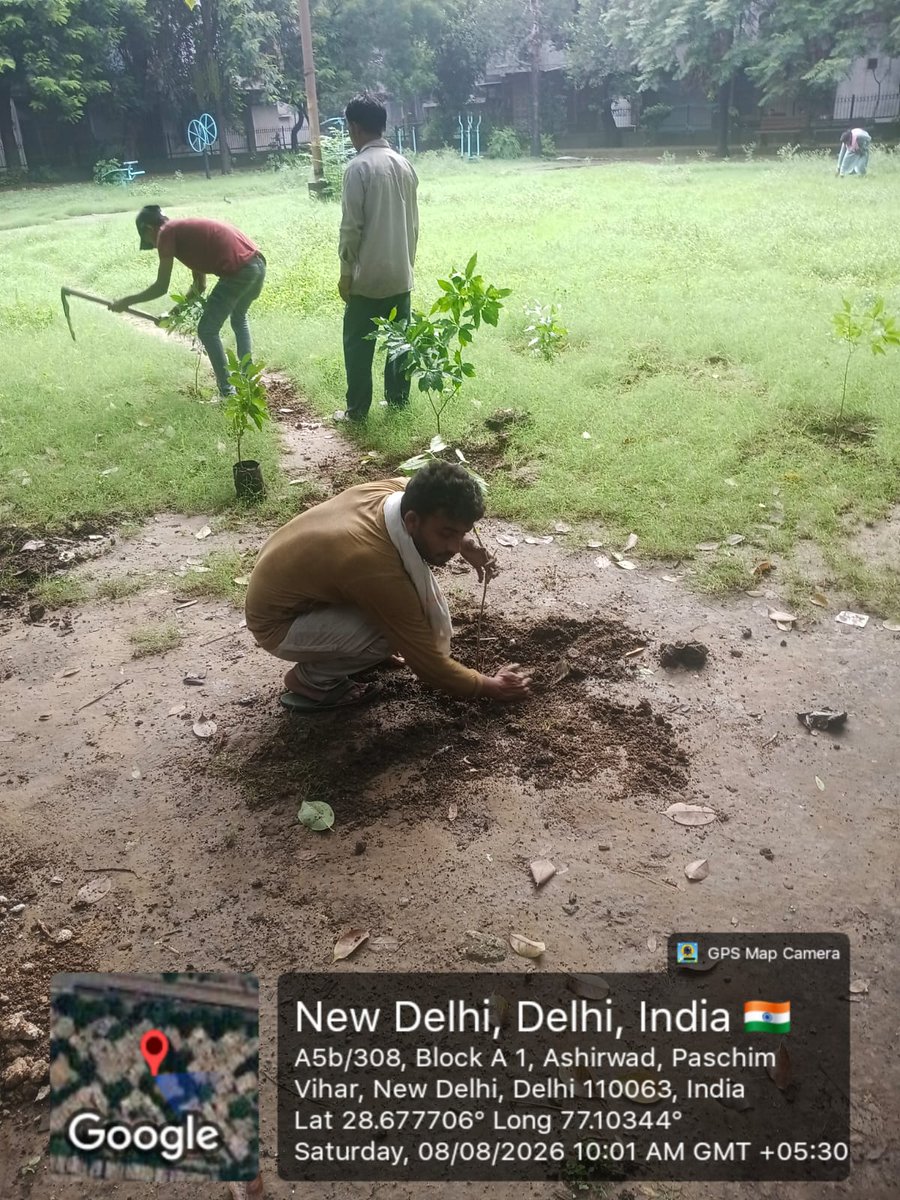 ShikhaGBhardwaj's tweet photo. सरस्वती विहार वार्ड-58 के पश्चिम विहार स्थित SFS Flats के पास पार्क में आवश्यक रखरखाव का कार्य कराया गया। नियमित रखरखाव से पार्क स्वच्छ, हराभरा और व्यवस्थित बना रहता है, जिससे क्षेत्रवासियों को बेहतर वातावरण मिलता है। जनहित में ऐसे कार्य निरंतर किए जा रहे हैं। https://t.co/gPPg7YY67K