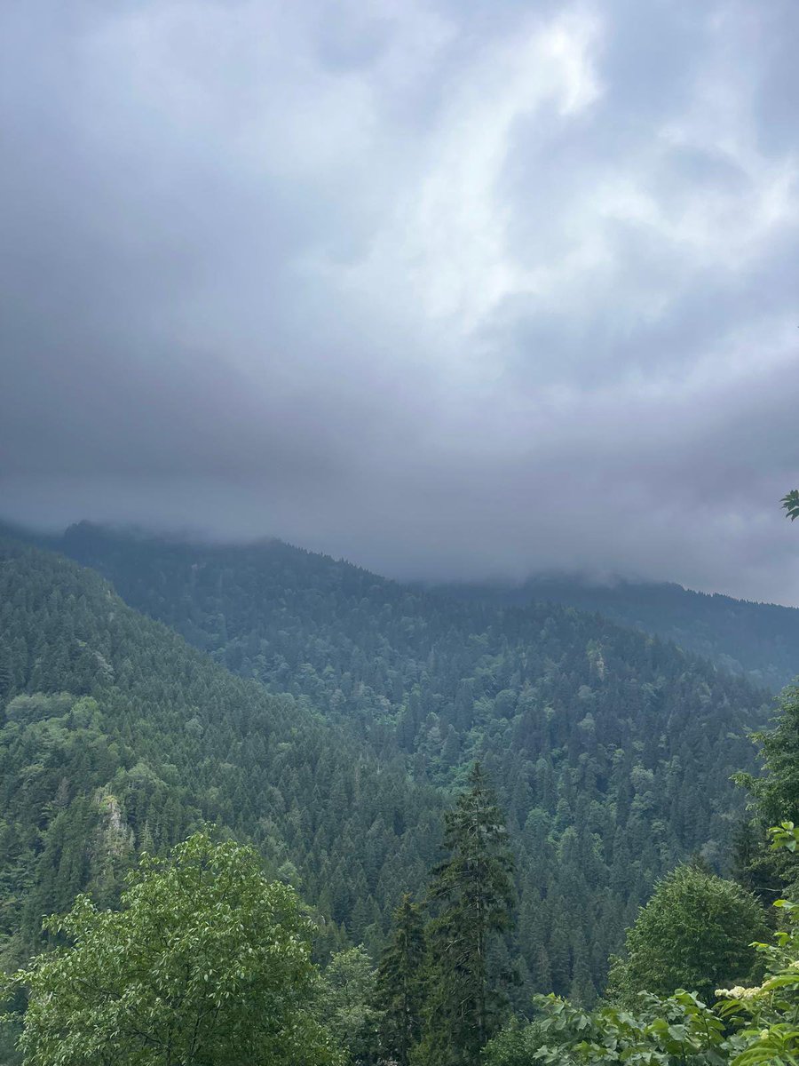 ravzaaclyr's tweet photo. Yıkılası Karadeniz nasılda bizim köye benziyo 🌿 https://t.co/jFyCgWZ4Ww