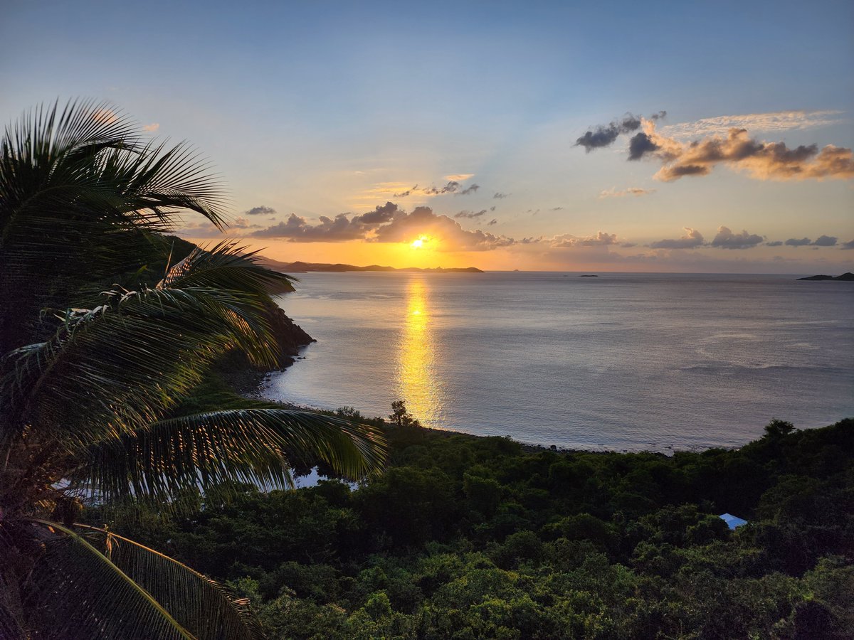 RobertKennedyJc's tweet photo. The horizon ignites in quiet gold,  
proof that no night can hold you forever.
 
Rise, and claim the day that’s yours. https://t.co/DSY8qtts2W
