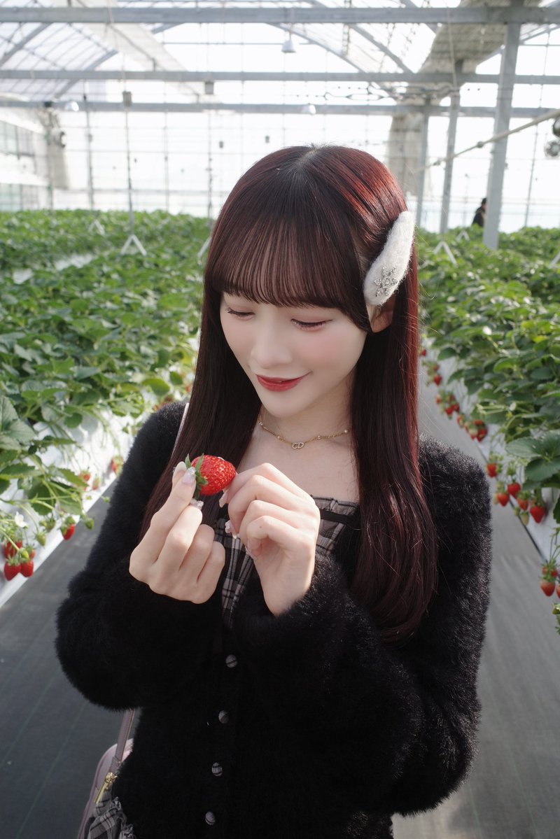 fr9vmm's tweet photo. ＝LOVE 音嶋莉沙ちゃん 瀧脇笙古ちゃん♡
       
関東 / 99 /🚺

セントラルで初めて観て聴いて
ハマりました！！🫶
お友達探し💭
連番出来るお友達もいたらいいな��☘️*゜

仲良くしてください☺️！！

#イコラブ #イコラブ好きな人と繋がりたい https://t.co/TbcGAFDr70