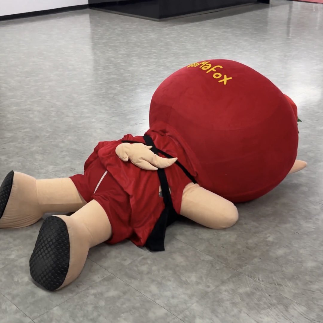 momotaro_027's tweet photo. แล้วทำไมป๊าอุ้มฟอกซ์ไม่ไหว ฟอกซ์ไม่เข้าใจ ฟอกซ์ไม่ยอม 😅 https://t.co/Xl0k8p82wj