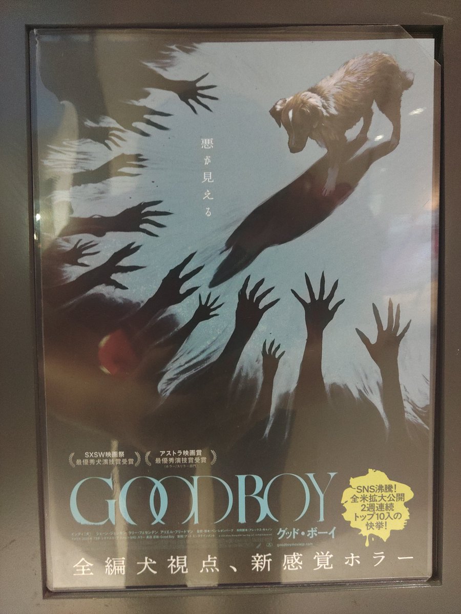 Sollen08's tweet photo. 世界猫の日なので、映画【GOOD BOY】を観て来ました(は？)

ホラー苦手なのですが、前評判通りに素晴らしいワンちゃんの表情や動作に魅入られ、���後まで観ることが出来ました。
ホンマGOOD BOY！🐕‍🦺👏 https://t.co/pRgDAbLcvP