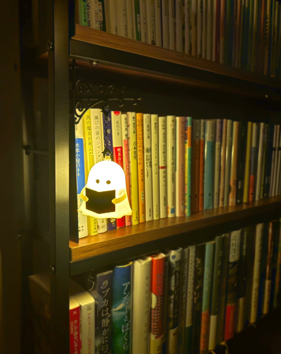 kuu_neru_warau's tweet photo. ライブラリランタンなるものを買った💡作りに外国製の粗さみたいなとこはあるけど、本棚がかわいくなって嬉しい📚👻 https://t.co/G2PYKMF7X2